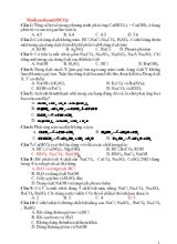 Giáo án Trắc nghiệm chương 3 Muối cacbonat (MCO3)